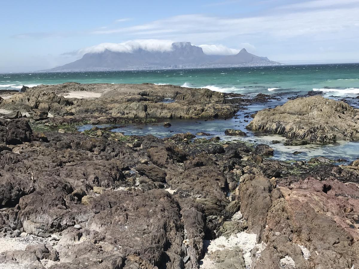 Apartmán Atlantic Haven Bloubergstrand Exteriér fotografie